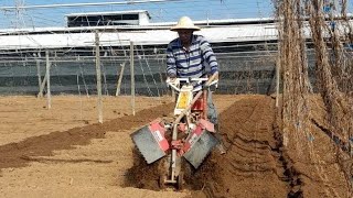 beans boy is live Plowing the field  DAY 4 [upl. by Tierney]