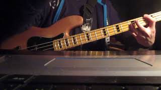 Dragostea Din Tei  Bass Cover [upl. by Vida]