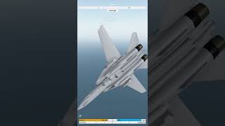 F14 takes revenge  Neo Warfare X  roblox usairforce aviation jet [upl. by Ahtnams517]