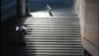 Ryan Sheckler kickflip 17 stair [upl. by Inttirb]