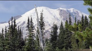 Backpacking Mount Rainier NP 2024 [upl. by Isaacson]