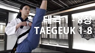 All Taegeuk Poomsae 태극 품새 전체 18장 [upl. by Lehcir]