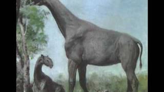 Tribute to Indricotherium aka Baluchitherium aka Paraceratherium [upl. by Notaek]