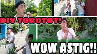 DIY TOROTOT GAMIT ANG SANGA NG PAPAYA AT DAHON NG SAGING [upl. by Trace]