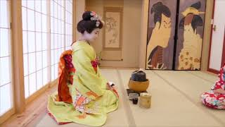 Geisha Tea Ceremony Osaka [upl. by Htes462]