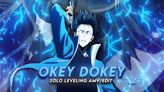 Okey Dokey Yo I Sung Jin WooSolo Leveling AMVEdit  Video Star  AM 📲  4k  6ft3 Remake [upl. by Halfdan]