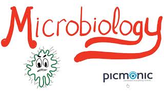 Microbiology Part 1 Introduction  Actinomyces israeli Listeria Diphtheria Nocardia  Picmonic [upl. by Ylime]