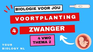 4 vwo  Voortplanting  4  Zwanger [upl. by Felise]