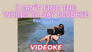 VIDEOKE  I CANT FIND THE WORDS TO SAY GOODBYE  Chords and Lyrics [upl. by Nickolas]