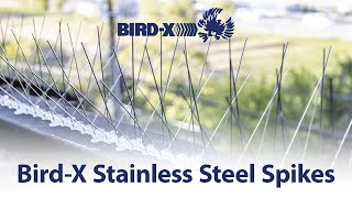 BirdX Stainless Steel Bird Spikes The Ultimate Ledge Protection [upl. by Aihsat448]