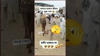 হাঁসতে হাঁসতে জীবন পুরো শেষ।। trending viralamazing shorts love status funny shortvideo fyp [upl. by Lundberg]