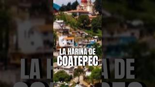 La Harina de COATEPEC es la mejor de México 🥰 shorts Harina CoatepecHarinas Edomex Turismo [upl. by Sexton358]