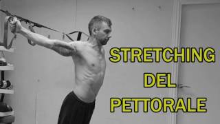 Stretching Parte 14 Pettorali [upl. by Uda]