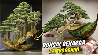 Ada Yang Harganya Rp 13 Miliar  Inilah 5 Pohon Bonsai Termahal di Dunia dengan Bentuk yang Unik [upl. by Suiramed]