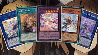 My Aromage Yugioh Deck Profile for Post Phantom Nightmare [upl. by Arri]