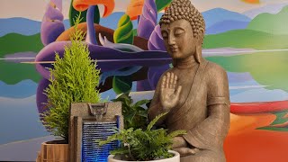 Relax  Chill  Zen Live Stream 6 [upl. by Rimisac]