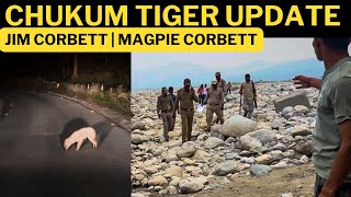 Chukum Tiger Update  Jim Corbett  Magpie Corbett [upl. by Anrol]