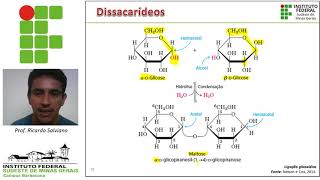 Carboidratos parte II [upl. by Cumings]