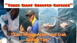 quotThree Giant Grouper Catches LastMinute Action and Crab Baiting Tipsquot [upl. by Notlrahc]