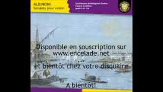 Albinoni  2e mouvement allegro de la sonate quotper il Signore Pisendelquot 17161717 [upl. by Fanchon]