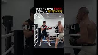 페레이라 얼굴이 다 빨개질 정도로 강하게 진심모드 스파링  한국 헤비급 복서들 vs 페레이라 스파링 [upl. by Press]