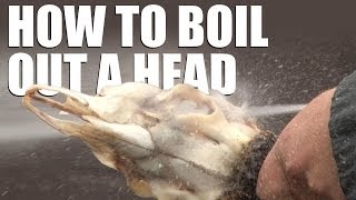 How to boil out a head [upl. by Mcferren]