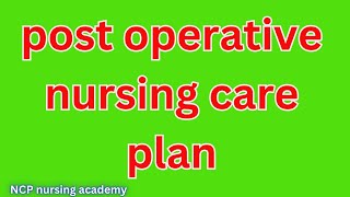 Postoperative nursing care plan  nursing care plan for postoperative patient  surgical patient [upl. by Ahsirat478]