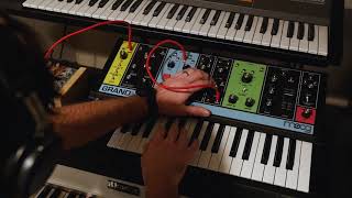 Paraphonic Velocity Trick  Moog Grandmother [upl. by Farmelo414]