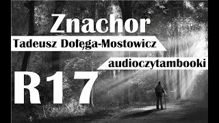 ZNACHOR  Rozdział 17 z 20  Audiobook  Audioczytambooki [upl. by Naawaj]