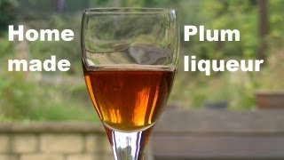 Home Made Plum Liqueur [upl. by Yknarf]