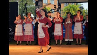 Darwin Greek Glenti 2017 CYPRIOT DANCE GROUP [upl. by Coriss262]