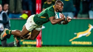 Top 20 Springbok Tries In The Last 5 Years That Shocked The World [upl. by Acino]