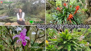 Orquídeas y Bromelias un paraíso de conservación 💚🌱☘️🍃 [upl. by Adnara503]