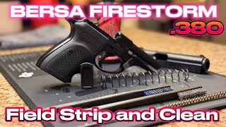 BERSA Firestorm 380 Cleaning [upl. by Nahtnamas]