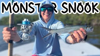 DOCK MONSTER DESTROYED LIVE LADYFISH [upl. by Ytoc]