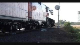 4449 Southern Pacific railroad Daylight Steams to Train Fest 09 [upl. by Eneleahcim]