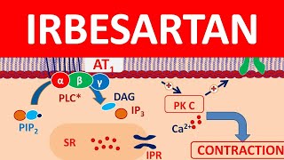 Irbesartan  Mechanism precautions side effects amp uses [upl. by Bollinger]