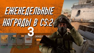 Cколько я заработал с 4 аккаунтов Prime в CS2 Неделя 3 [upl. by Ordnaxela]