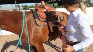 How to Correctly Cinch Your Horse [upl. by Nordin]