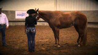 Showmanship SetUp Tips [upl. by Foster922]