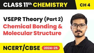 VSEPR Theory Part 2  Chemical Bonding amp Molecular Structure  Class 11 Chemistry Ch 4  CBSE 2024 [upl. by Aticnemrac]