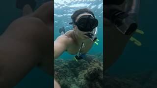 Diving In South Florida [upl. by Ellatsyrc]