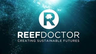 Reef Doctor Creating Sustainable Futures in Madagascar [upl. by Talich682]