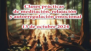 Clases prácticas de meditación relajación y autorregulación emocional 13 de octubre 2024 [upl. by Nrol460]