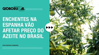 Azeite mais caro enchentes na Espanha vão afetar preço do produto no Brasil  Globo Rural [upl. by Juta995]