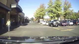 Geko Dashcam Video Longer version [upl. by Gabrila]