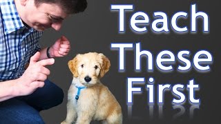 3 Easy Things to Teach your NEW PUPPY [upl. by Aitam]