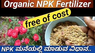 ರೂಪಾಯಿ ಖರ್ಚಿಲ್ಲದ ಆರ್ಗಾನಿಕ್ NPK ಮಾಡುವ ಸುಲಭ ವಿಧಾನhow to make organic NPK at homeNPK Fertilizer [upl. by Latreese]