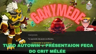 Ganymède prérequis du dofus vulbis TUTO AUTOWIN [upl. by Eerdua]