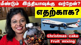 ✈️ மீண்டும் ஊருக்கு கிளம்பியாச்சிஏன்Christmas cake fruit mixingகண் கொள்ளா காட்சி [upl. by Eegnat]